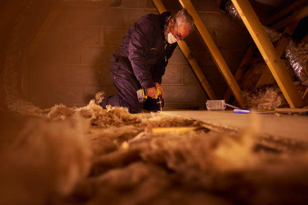 Types of Insulation We Offer in Clemson, SC